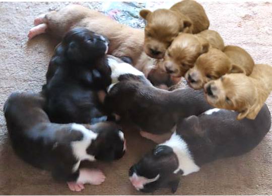 生き物ルーム第49