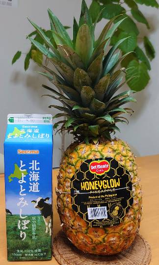 マスク同窓会詰所兼ニューフェイス歓迎所29(希望)