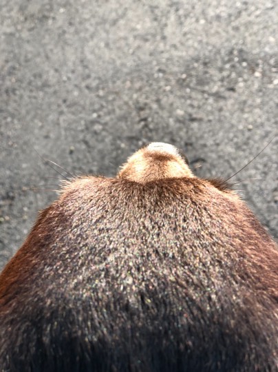 生き物ルーム第49