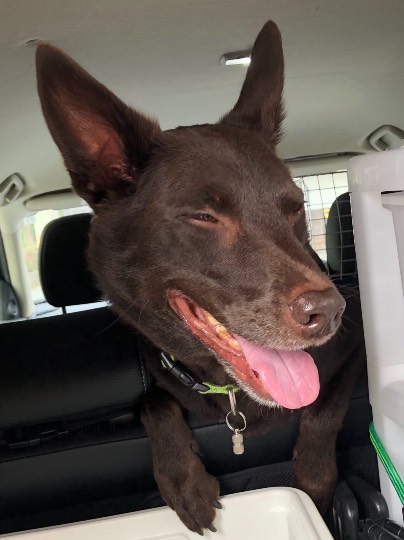 生き物ルーム第49