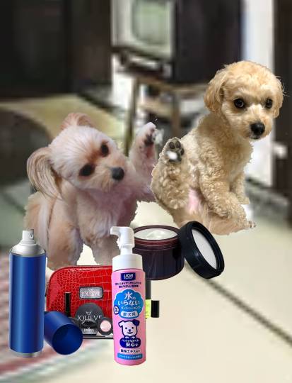 生き物ルーム第49