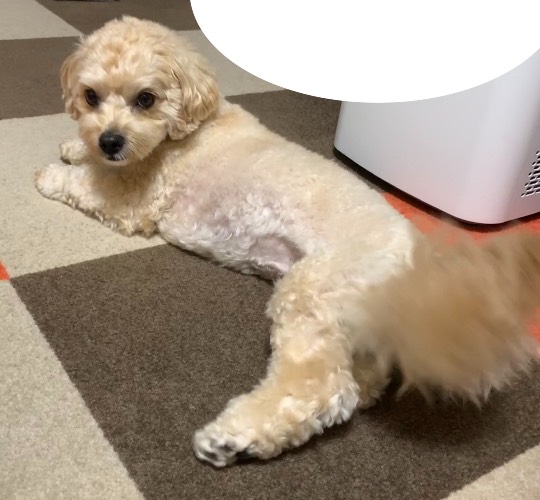 生き物ルーム第48