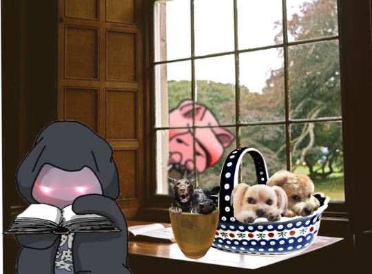 生き物ルーム第48