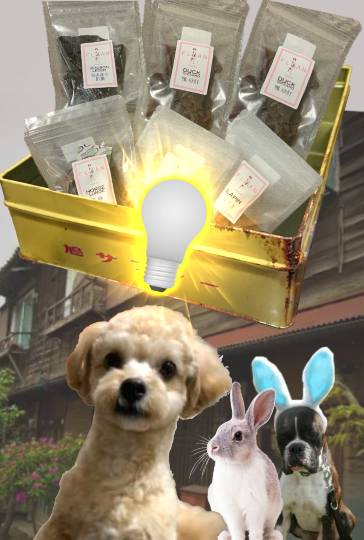 生き物ルーム第49