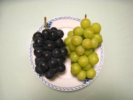 マスク同窓会詰所兼ニューフェイス歓迎所29(希望)