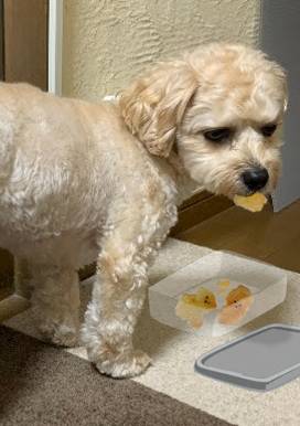 生き物ルーム第48