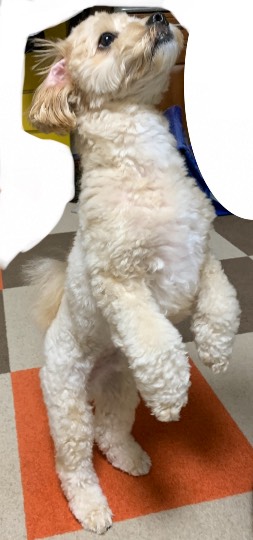 生き物ルーム第48