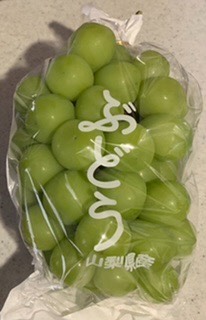 マスク同窓会詰所兼ニューフェイス歓迎所29(希望)