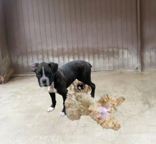 生き物ルーム第49