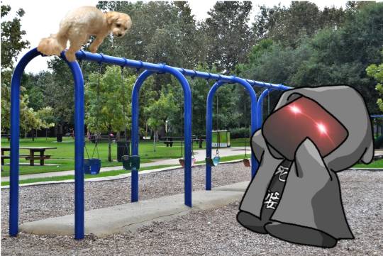 生き物ルーム第48