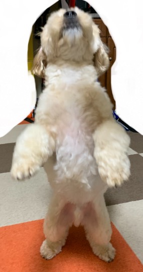 生き物ルーム第48