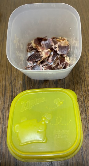 生き物ルーム第49