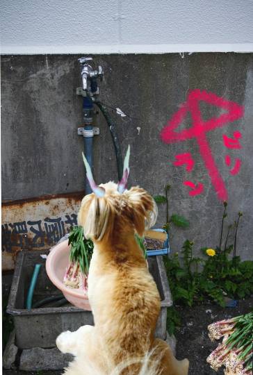 生き物ルーム第48