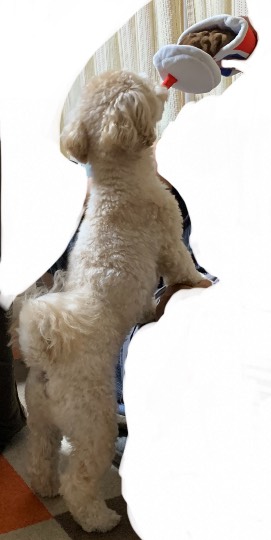 生き物ルーム第48