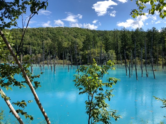 ★ドンキ♡♡ロピア 雑談45★