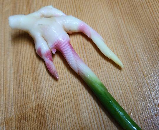 生き物ルーム第48