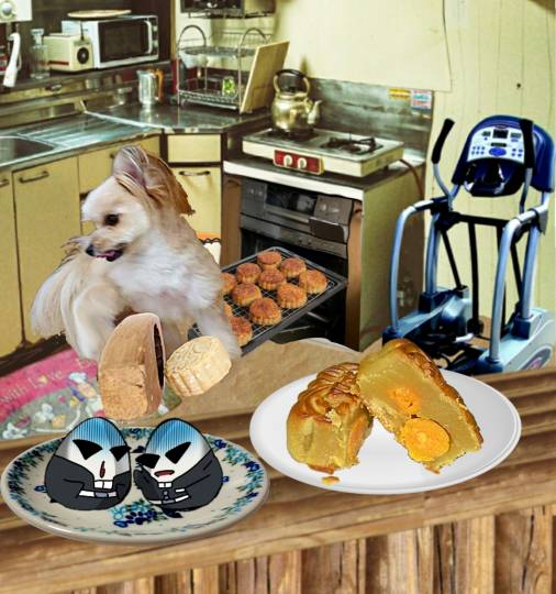 生き物ルーム第49