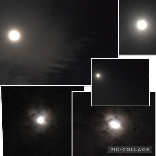 ★ドンキ♡♡ロピア 雑談45★