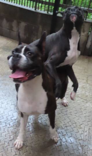 生き物ルーム第49