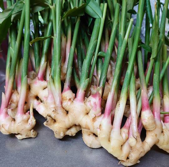 生き物ルーム第48