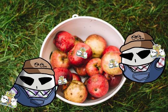 EGG'S CAFE イイ表情お願いしますぅ~♪