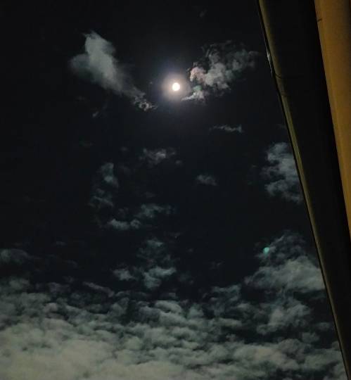 ★ドンキ♡♡ロピア 雑談45★