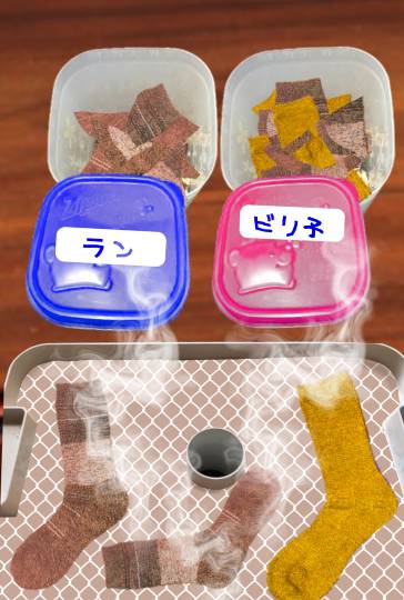 生き物ルーム第49