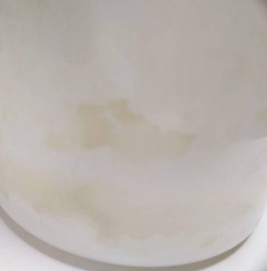 雑談ヌカ漬けブリーダー友の会