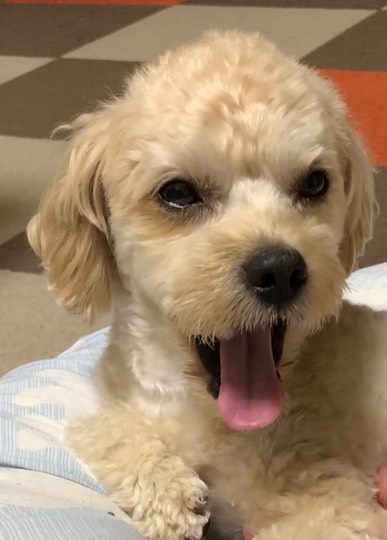 生き物ルーム第49