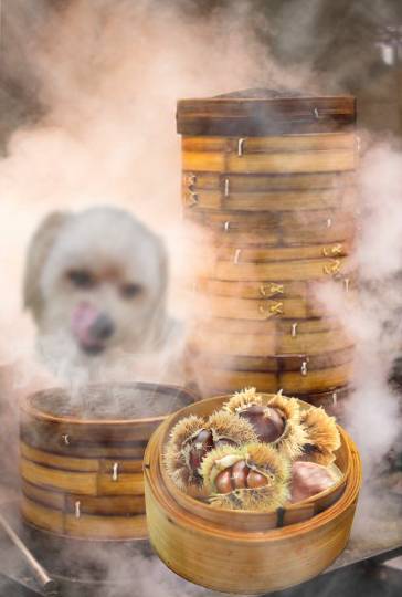 生き物ルーム第49