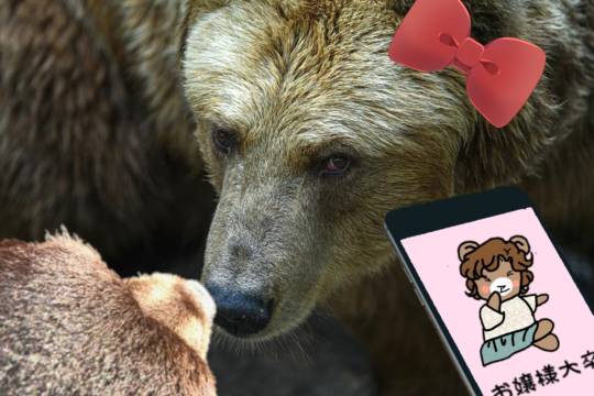 生き物ルーム第49