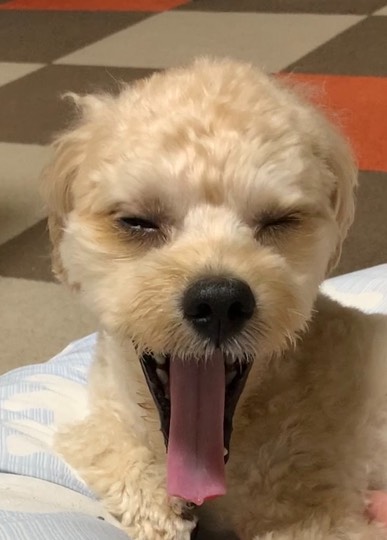 生き物ルーム第49