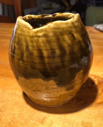 生き物ルーム第48