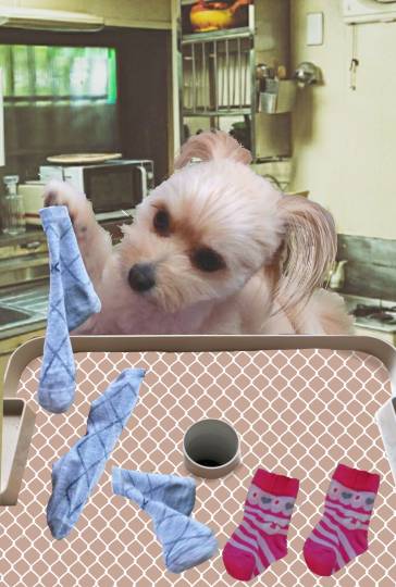 生き物ルーム第49