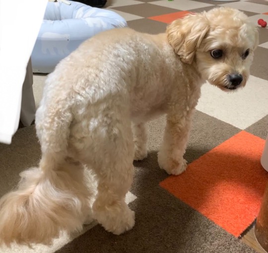 生き物ルーム第48