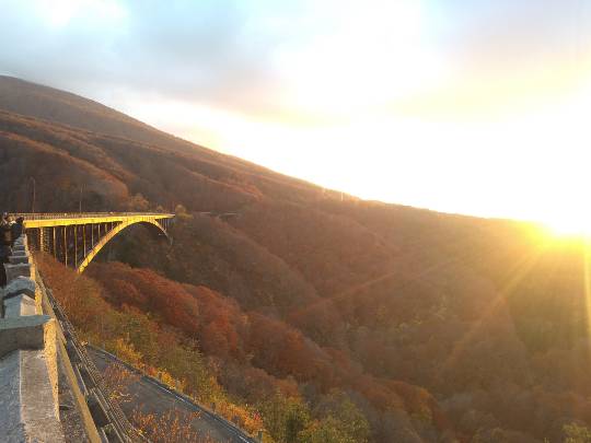 マスク同窓会詰所兼ニューフェイス歓迎所31(野望)