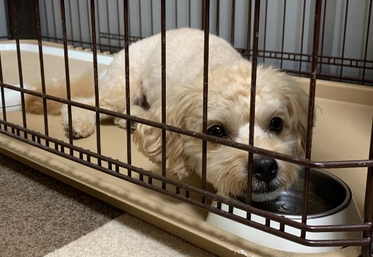 生き物ルーム第49