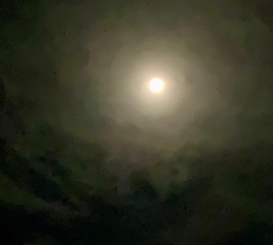 ★ドンキ♡♡ロピア 雑談47★