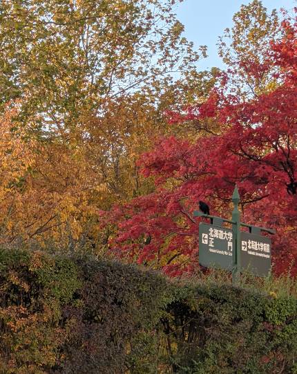 雑談お絵描き部・コラージュ部・素材提供部 No.１２　画像投稿のお悩みはコチラへ