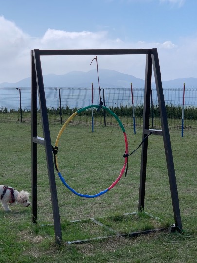 生き物ルーム第49