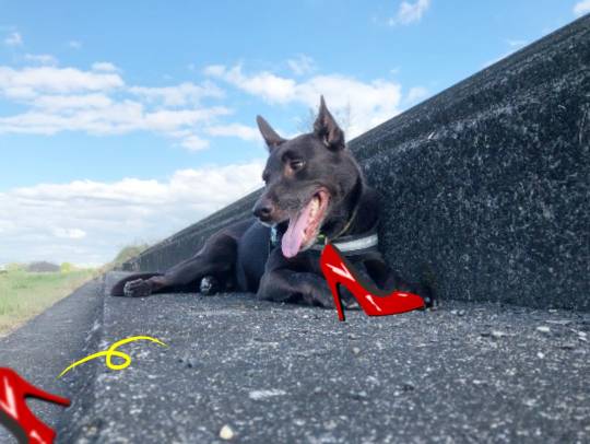 生き物ルーム第49