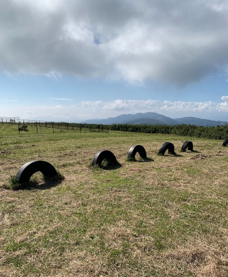 生き物ルーム第49