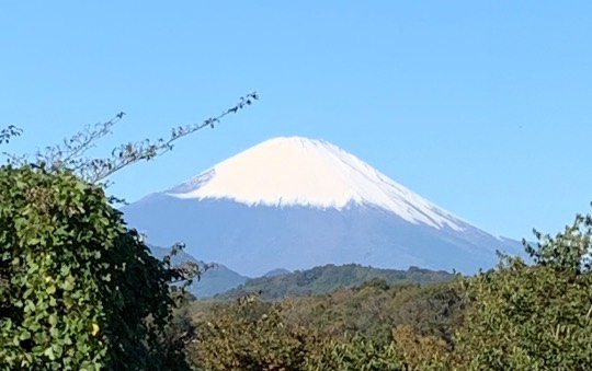 雑談お絵描き部・コラージュ部・素材提供部 No.１２　画像投稿のお悩みはコチラへ