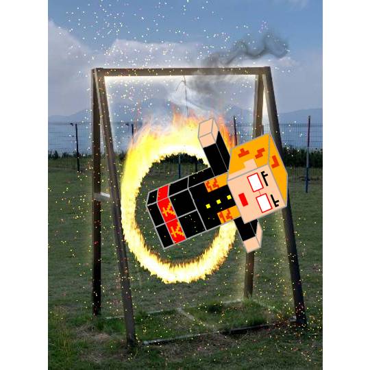 生き物ルーム第49