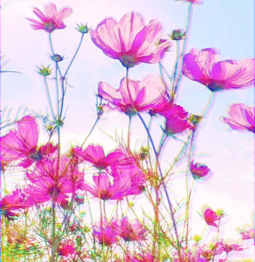 雑談お絵描き部・コラージュ部・素材提供部 No.12 画像投稿のお悩みはコチラへ