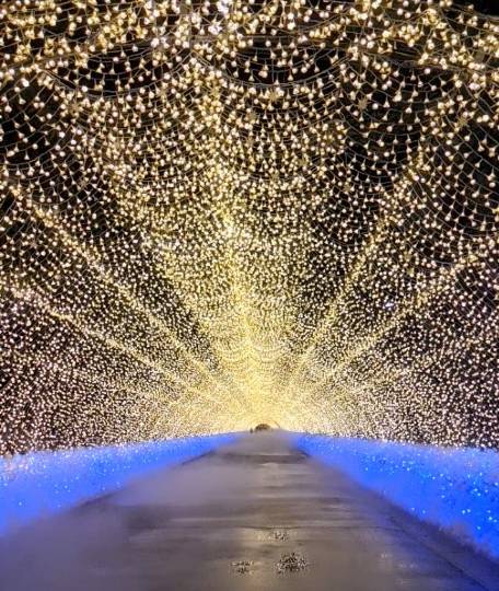 雑談お絵描き部・コラージュ部・素材提供部 No.12 画像投稿のお悩みはコチラへ