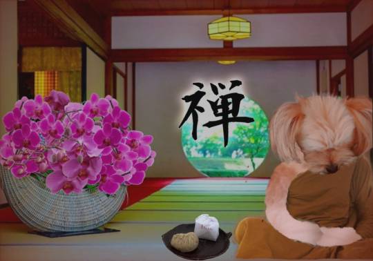 生き物ルーム第49