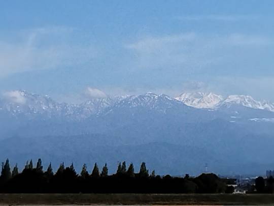 マスク同窓会詰所兼ニューフェイス歓迎所31(野望)