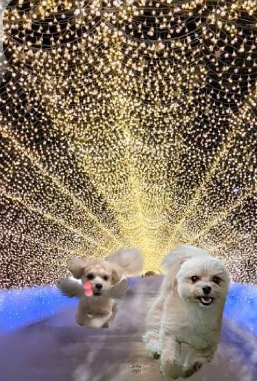 雑談お絵描き部・コラージュ部・素材提供部 No.12 画像投稿のお悩みはコチラへ