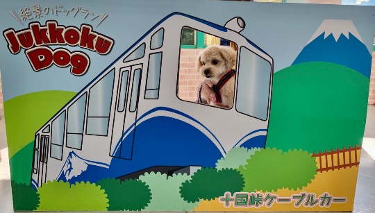 生き物ルーム第49